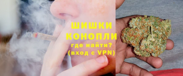 шишки Алексин