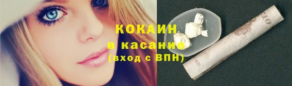 шишки Алексин