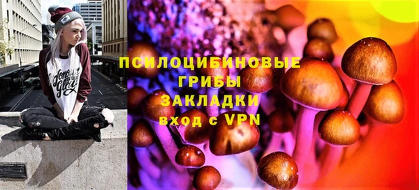 дмт Алзамай