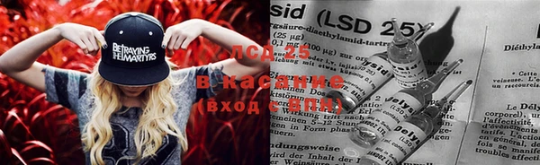 дмт Алзамай