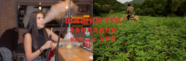 шишки Алексин