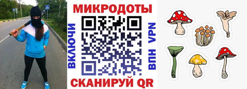 это какой сайт  Багратионовск  Галлюциногенные грибы Psilocybine cubensis 